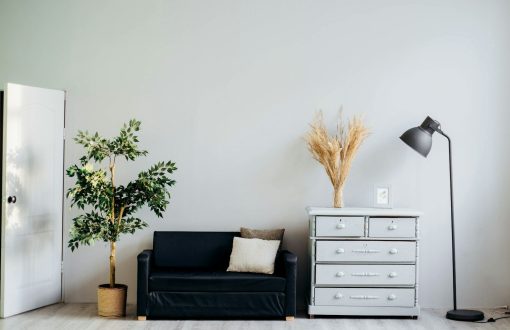 1 BHK Apartment in Pune